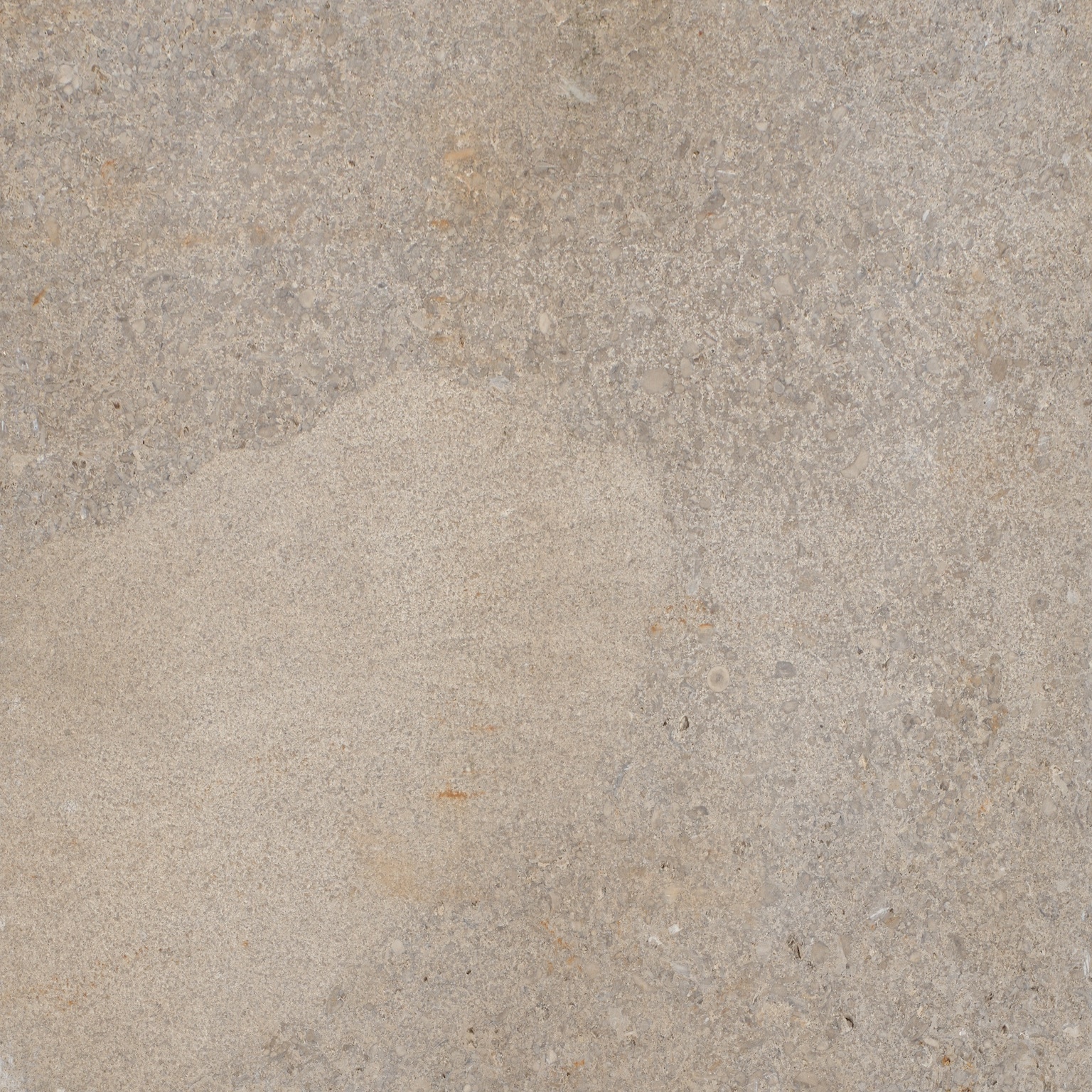 Indiana Limestone – Fossil Beige™